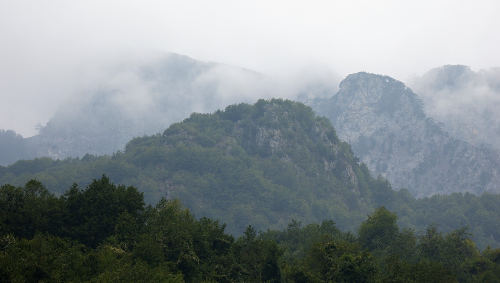 5lpers7dw7sto7733ap77mxdwis94p